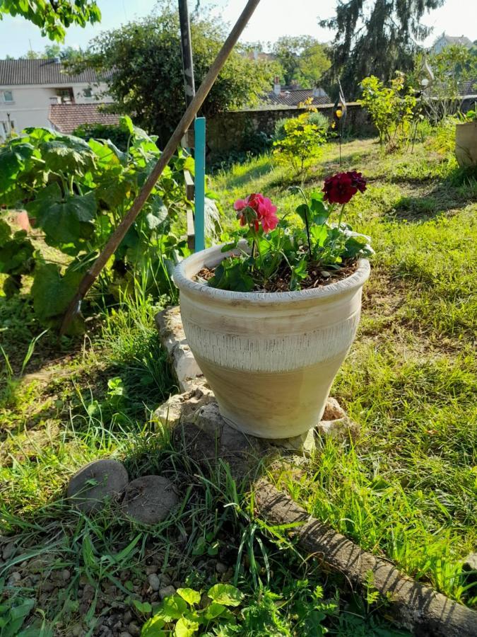 普瓦捷La Terrasse公寓 外观 照片
